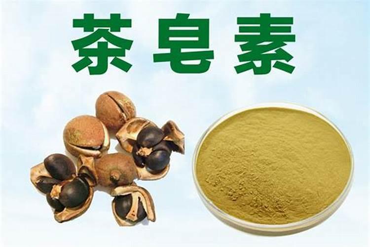 河南化肥企业排名十强