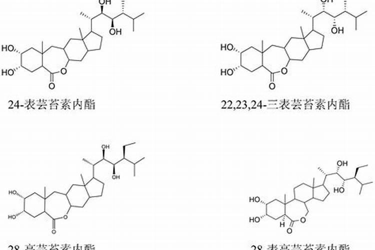 芸苔素内酯可以滴灌冲施吗一亩地冲是多少？