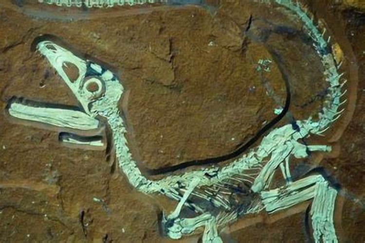 化肥是谁发明的