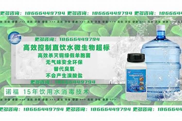 文心兰根全烂了怎样救活