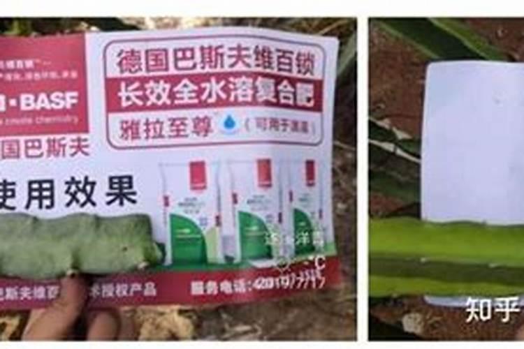 西瓜打什么叶面肥又绿又厚呢