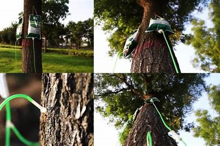 乌金绿有机水溶肥灌根用量