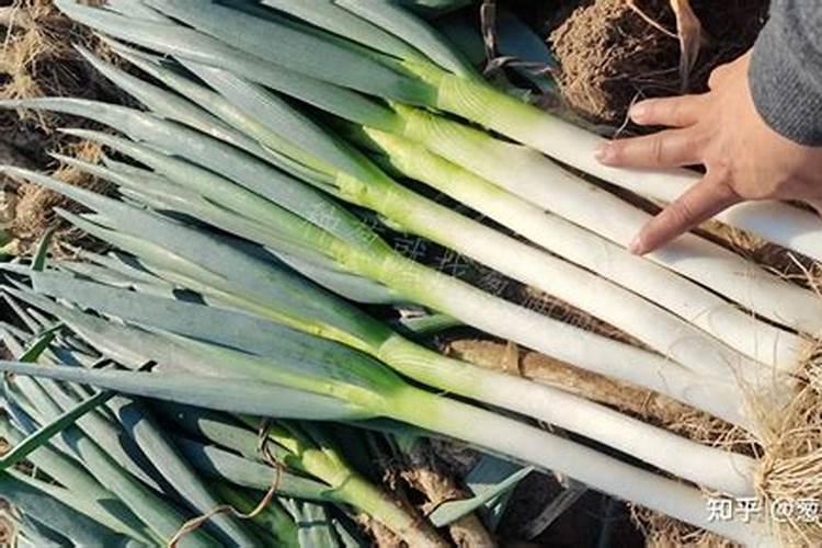 大量元素水溶肥单一含量误差多少合适