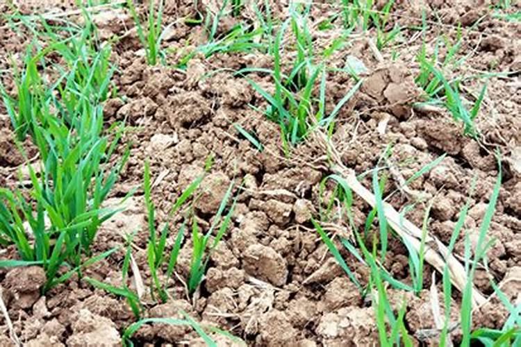 锌能溶于碱溶液吗？谢谢