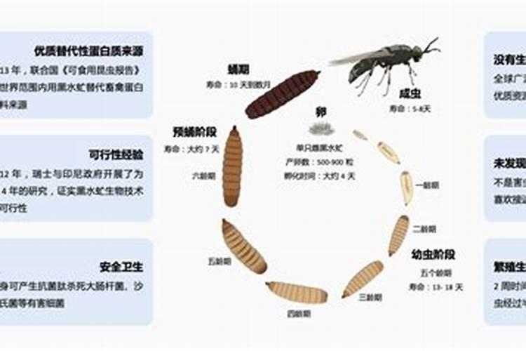复合肥能泡水浇花吗,和直接放哪个好