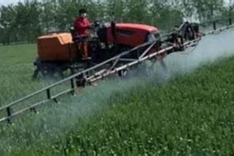 配制无土栽培蔬菜营养液可供选择的氮肥有哪几种？有什么特性？