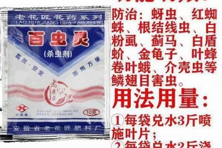 柑橘(沃柑)黄化灌根增强树势后叶片返绿效果案例