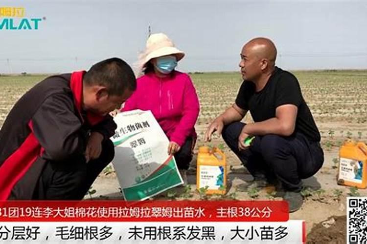 新疆德农生物科技有限公司怎么样？