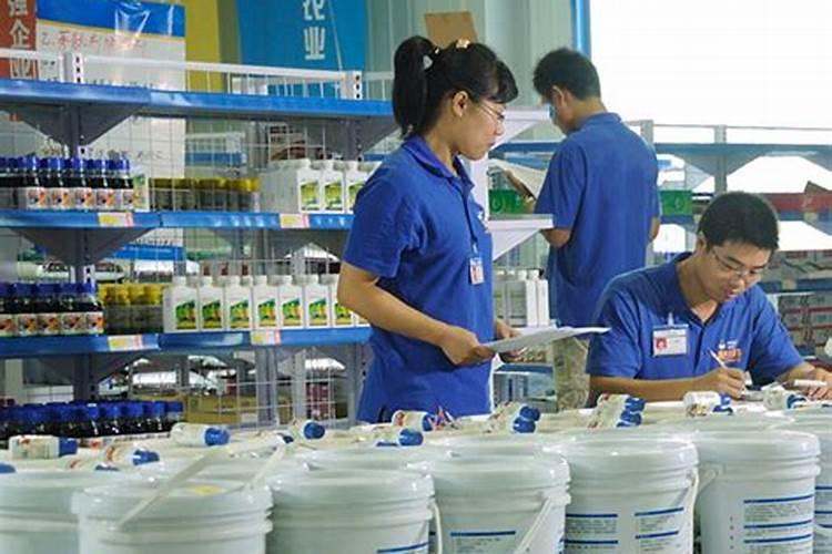 小狗能吃小番茄吗