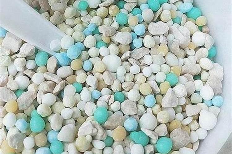 水果萝卜什么时候种植最好(北方最佳种植时间和方法)