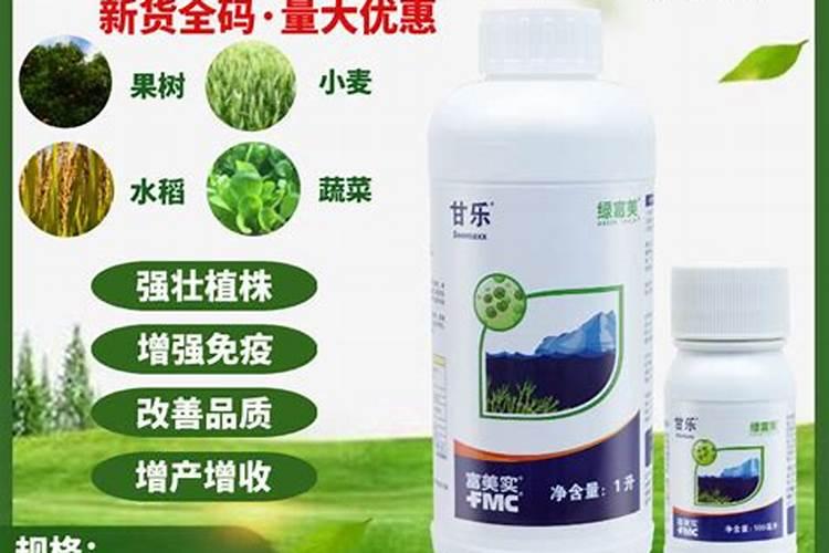 小球藻在家怎么培养