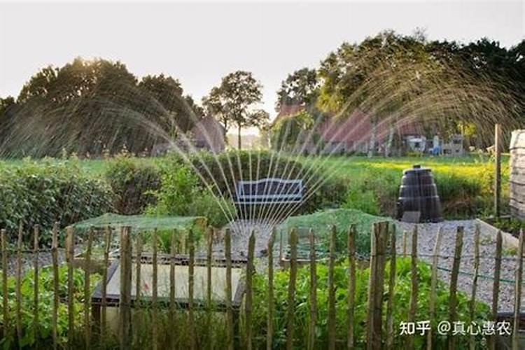 水溶肥12840代表什么