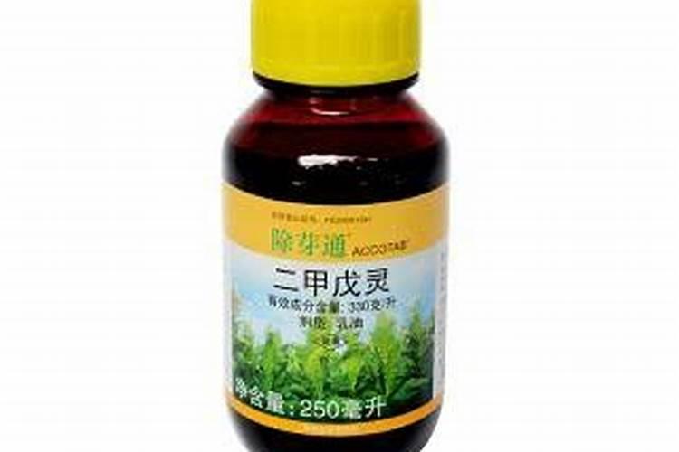 大葱种植技术要点!3个因素,决定种植品种