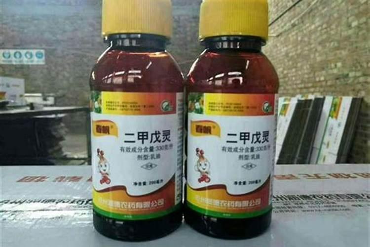 大蒜播种后管理要注意什么
