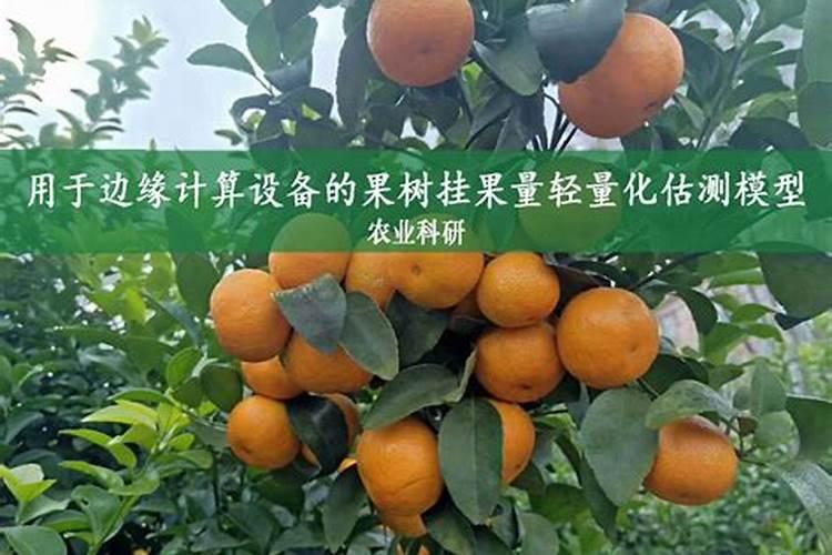 氮肥促进果树开花结果吗