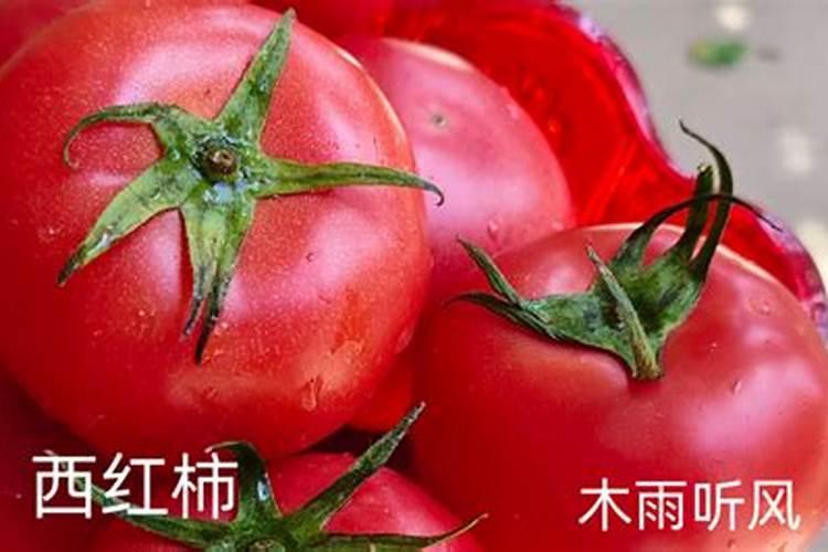 西红柿最忌讳的肥料是什么？西红柿正确的施肥方法,一定要掌握好百度...