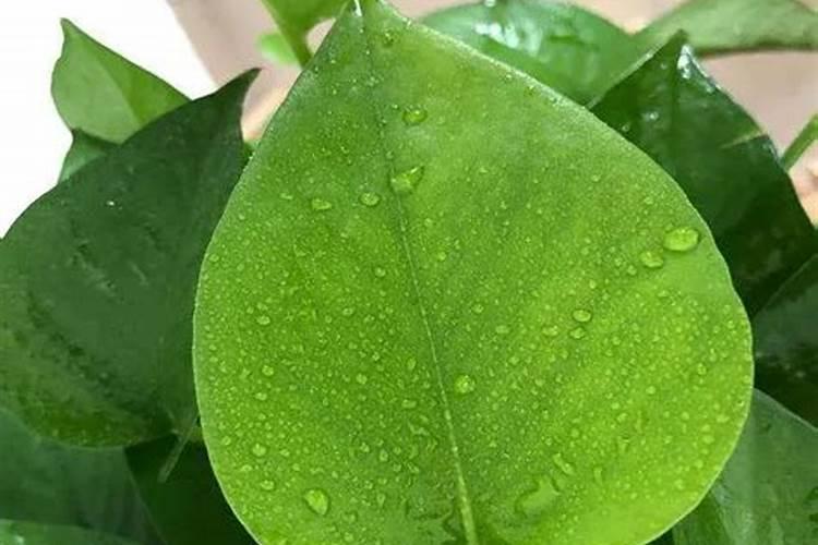 炉子是怎样产生一氧化碳的？