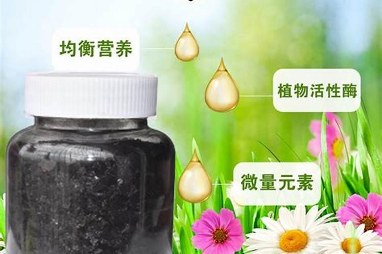 黑小麦亩产是多少？适应哪些地方种植？