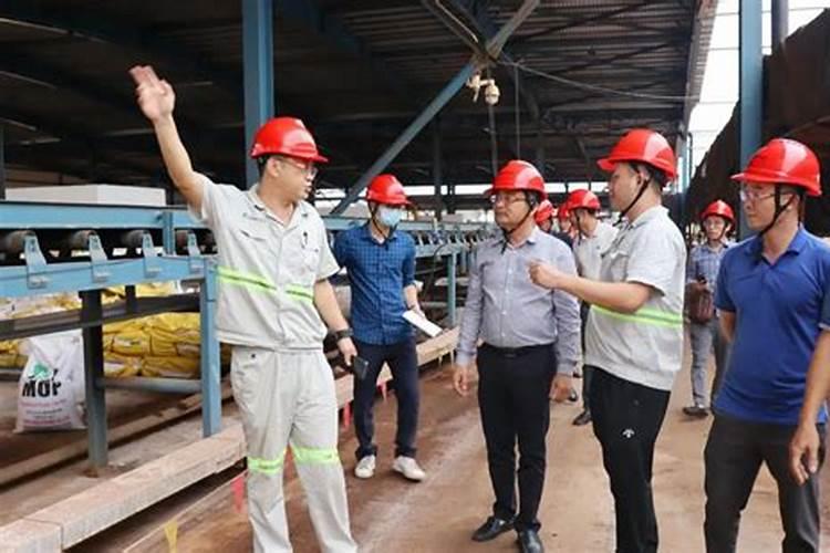 求助下大家桂花树施什么肥最好