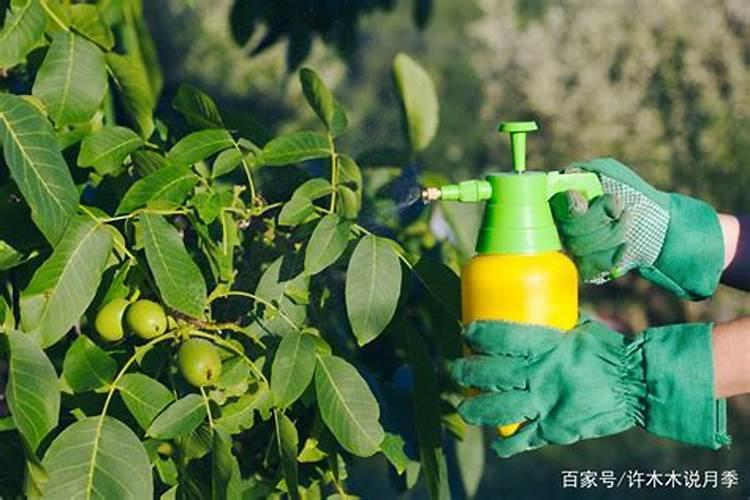 磷酸二氢钾果树多少天用一次