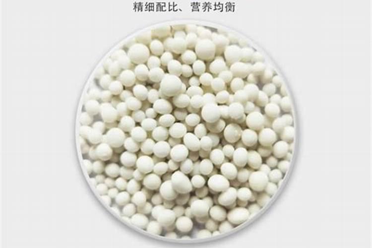 锌在玉米中的作用是什么,如何在滴灌玉米中科学施用锌呢？