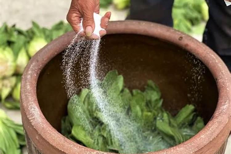 有一块比较小的菜地,怎么施肥？