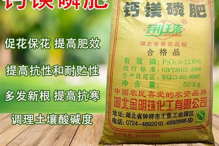 果树常用磷肥有哪些