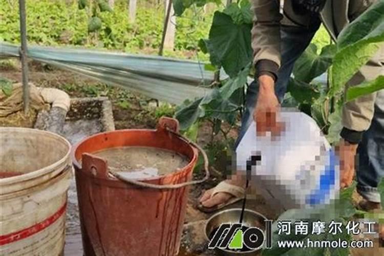 水溶肥施用方式有哪些？