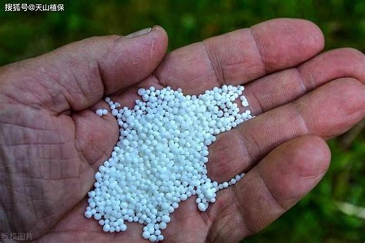 种菜用尿素还是复合肥