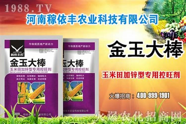 种菜最好的肥料是什么,种青菜用尿素还是复合肥