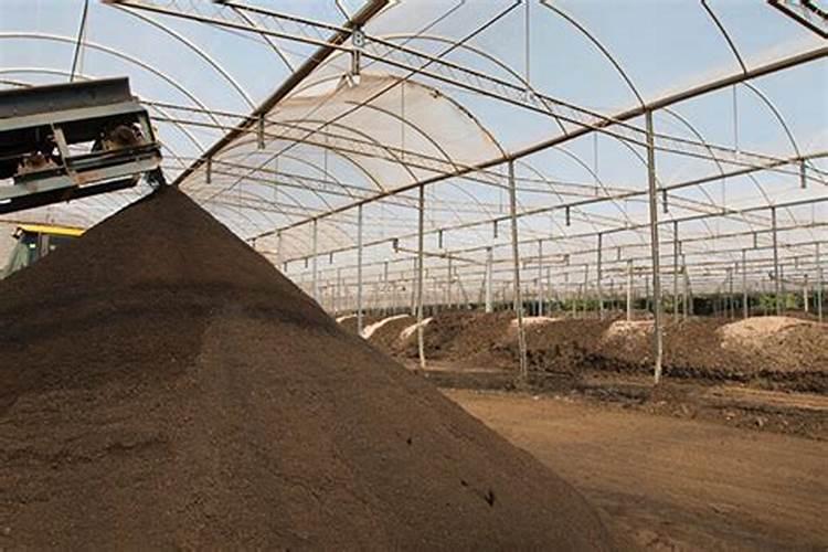 附近的有机肥生产厂家