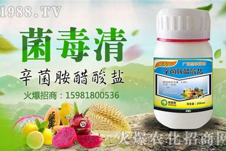 暴雨过后,柑橘该如何补救？