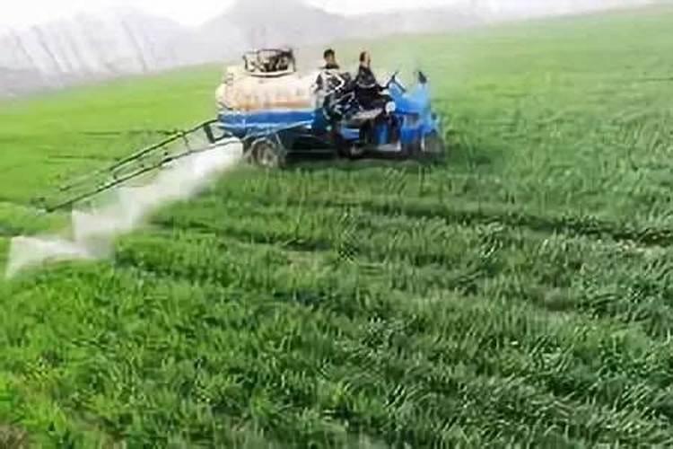 花卉缺钙有哪些防治措施？