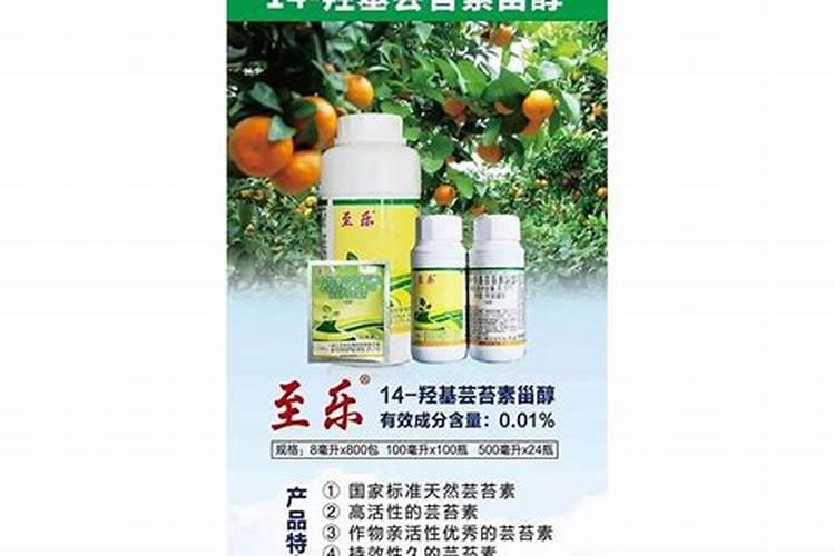 农用叶面肥木醋液厂家哪家好