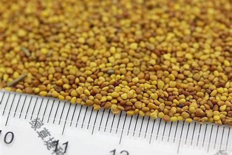 花生泡到水里一般几天能发芽 花生泡到水里几天能发芽