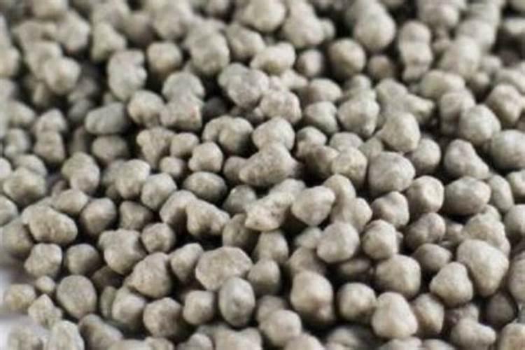 葡萄树叶面肥有哪些？不同时期叶面肥的运用？