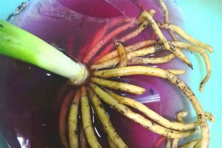 浇花时磷酸二氢钾1克需要兑多少水？