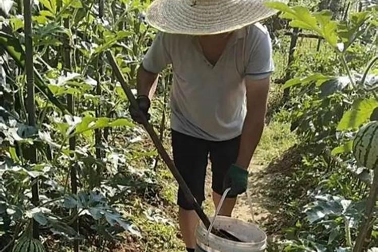 什么时候施冲施肥？施肥受天气影响吗？