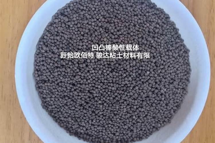 板栗采摘后怎样管理