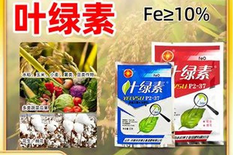 腐植酸和氨基酸混用喷玉米叶面肥作用怎么样