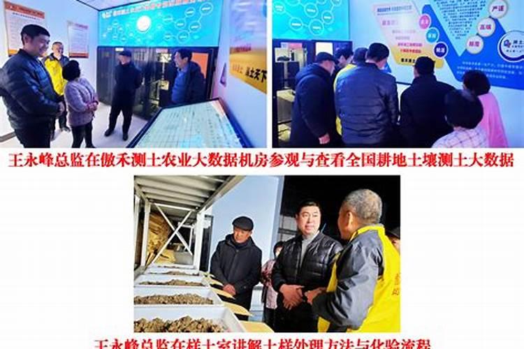 磷酸二氢钾可以和氨基酸一起用吗？和腐殖酸一起用效果好吗？