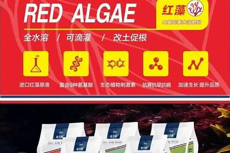 玉米专用肥能当小麦底肥吗？