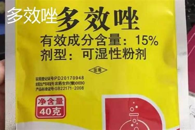 西安大型花卉市场有哪些