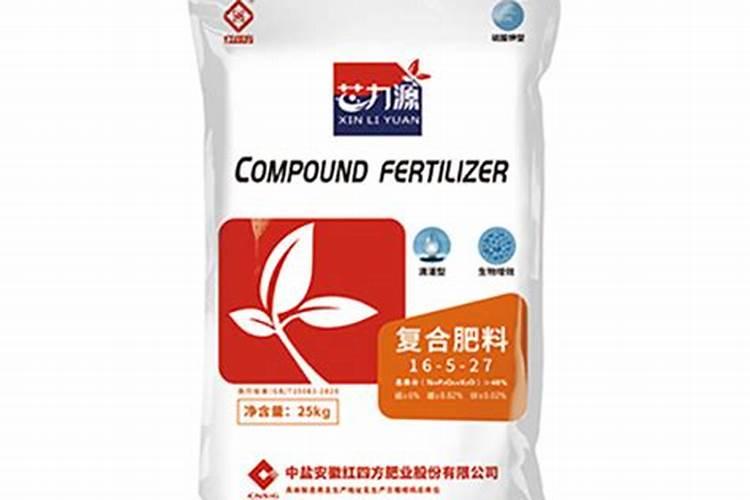 怎么让虎皮兰叶子更绿,叶子尖发黄怎么办