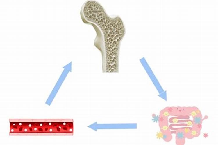 蒜苗怎么煮才好吃？