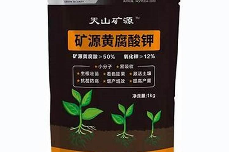 水溶肥给柿子树怎么施用