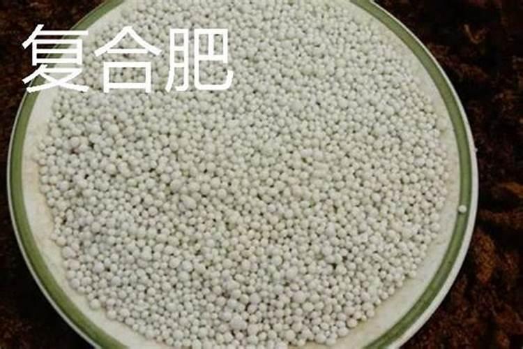 大豆田有露水打叶面肥可以吗