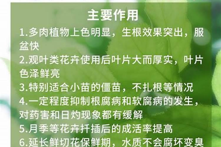 荔枝专用叶面肥什么好？