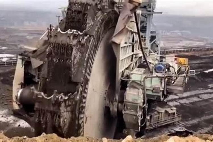 什么是特种肥,最近大火的以色列进口肥料巴格尔功能肥效果怎么样？