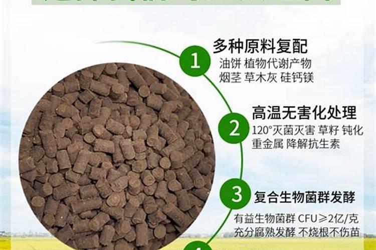 蓝莓花期用什么肥料